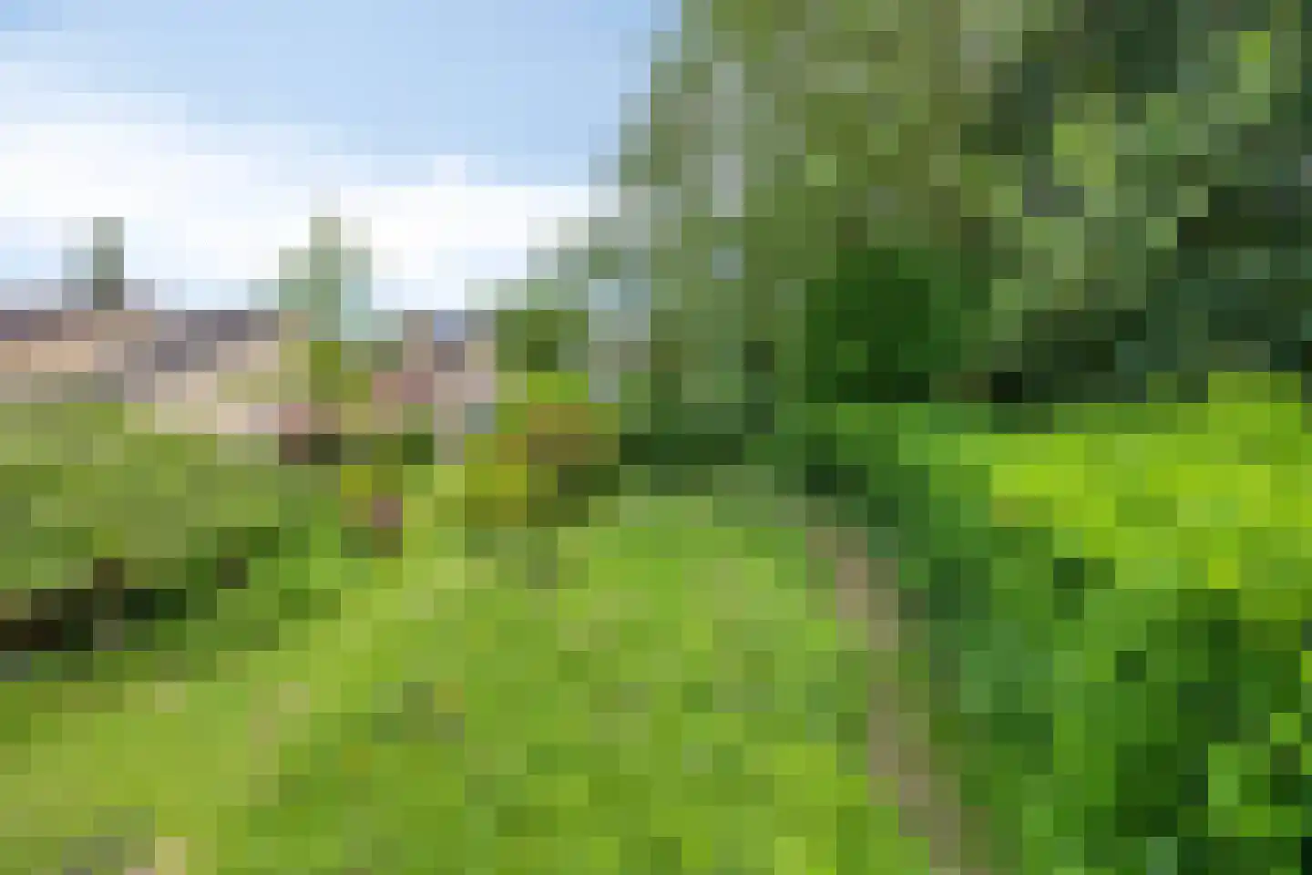 Weezenhof 2317 Nijmegen thumbnail 48