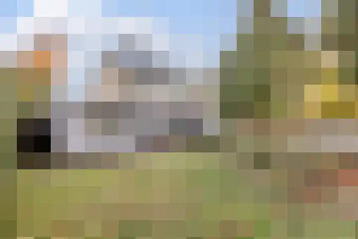 Weezenhof 2602 Nijmegen thumbnail 22