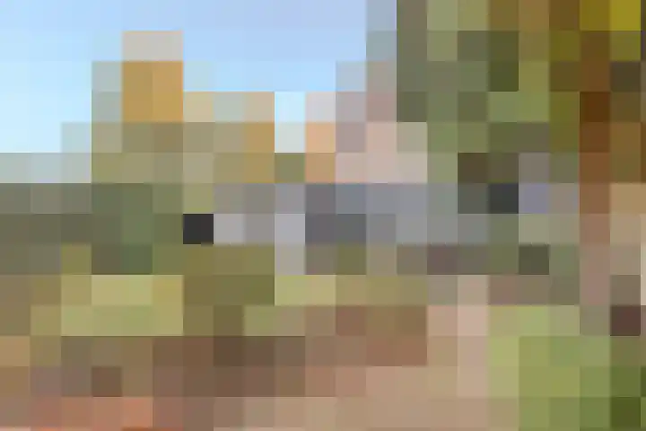 Weezenhof 2602 Nijmegen thumbnail 23