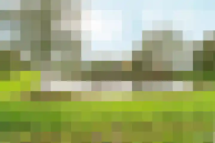 Weezenhof 2658 Nijmegen thumbnail 26