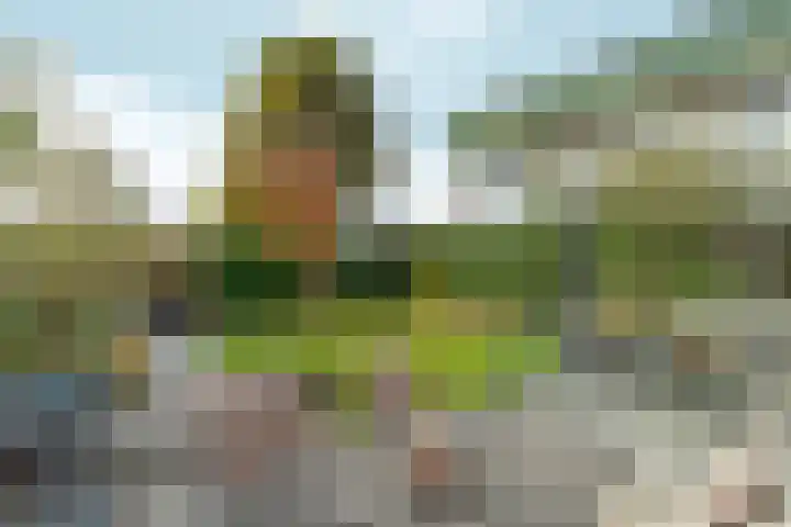 Weezenhof 2664 Nijmegen thumbnail 55