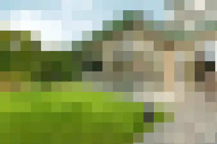 Weezenhof 2664 Nijmegen thumbnail 56