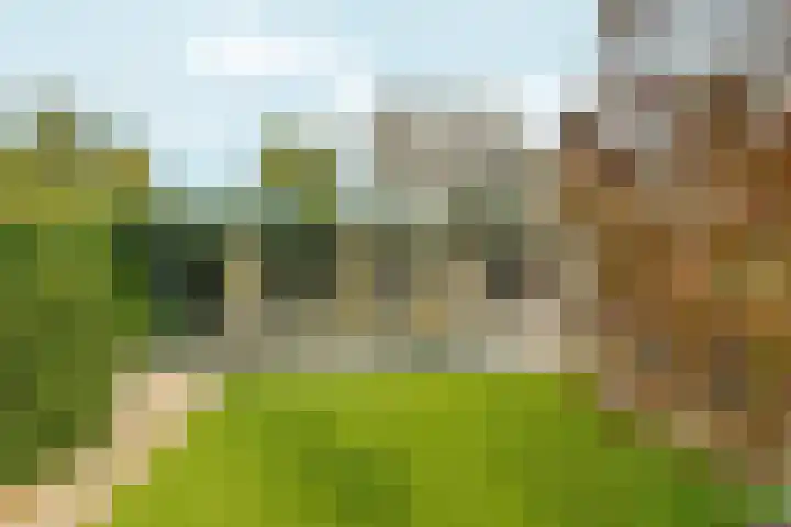 Weezenhof 2664 Nijmegen thumbnail 58
