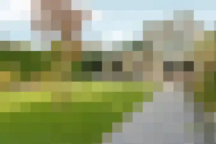 Weezenhof 2664 Nijmegen thumbnail 59