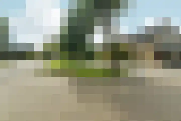 Weezenhof 2664 Nijmegen thumbnail 62