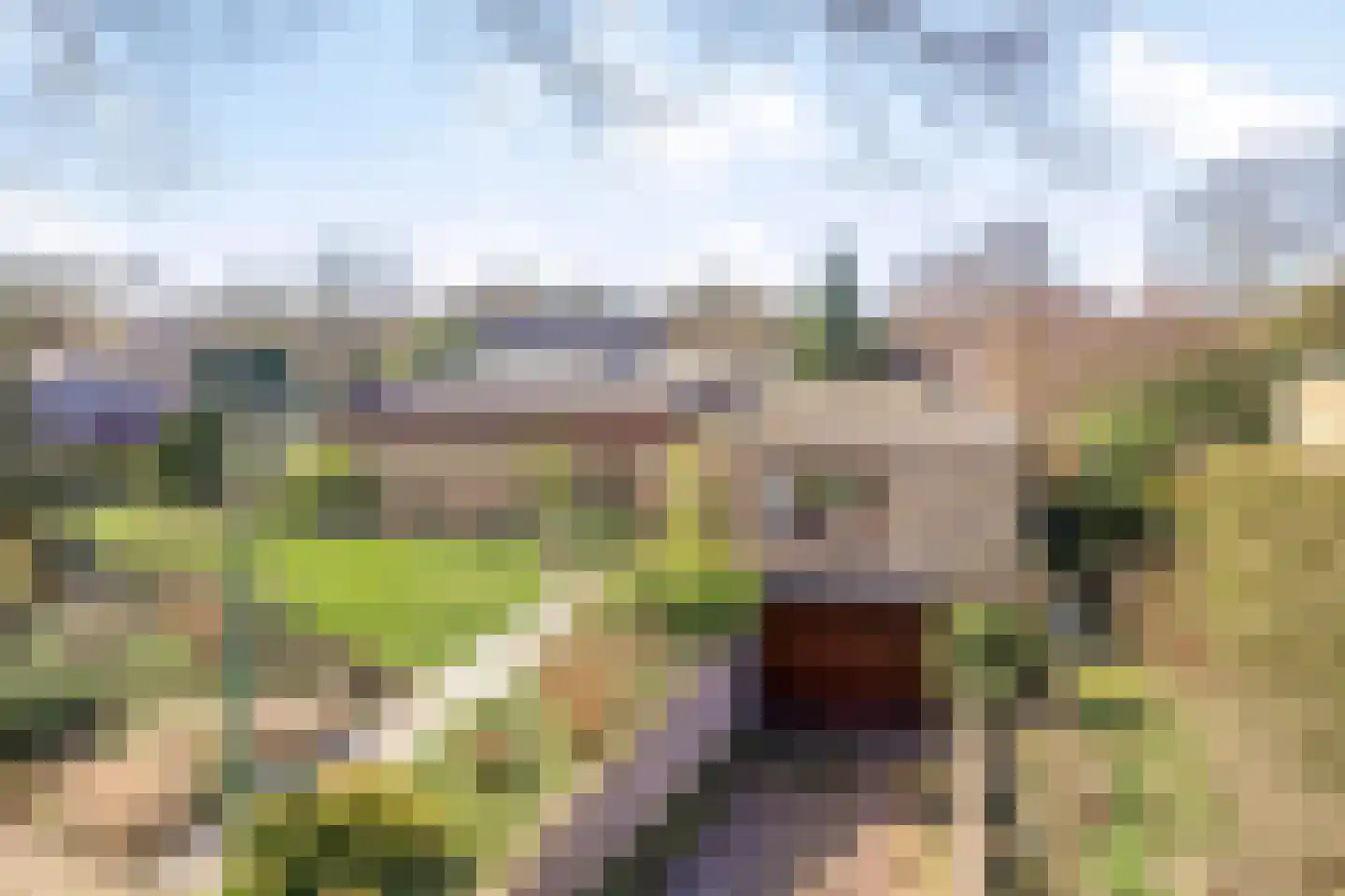 Weezenhof 2708 Nijmegen thumbnail 4
