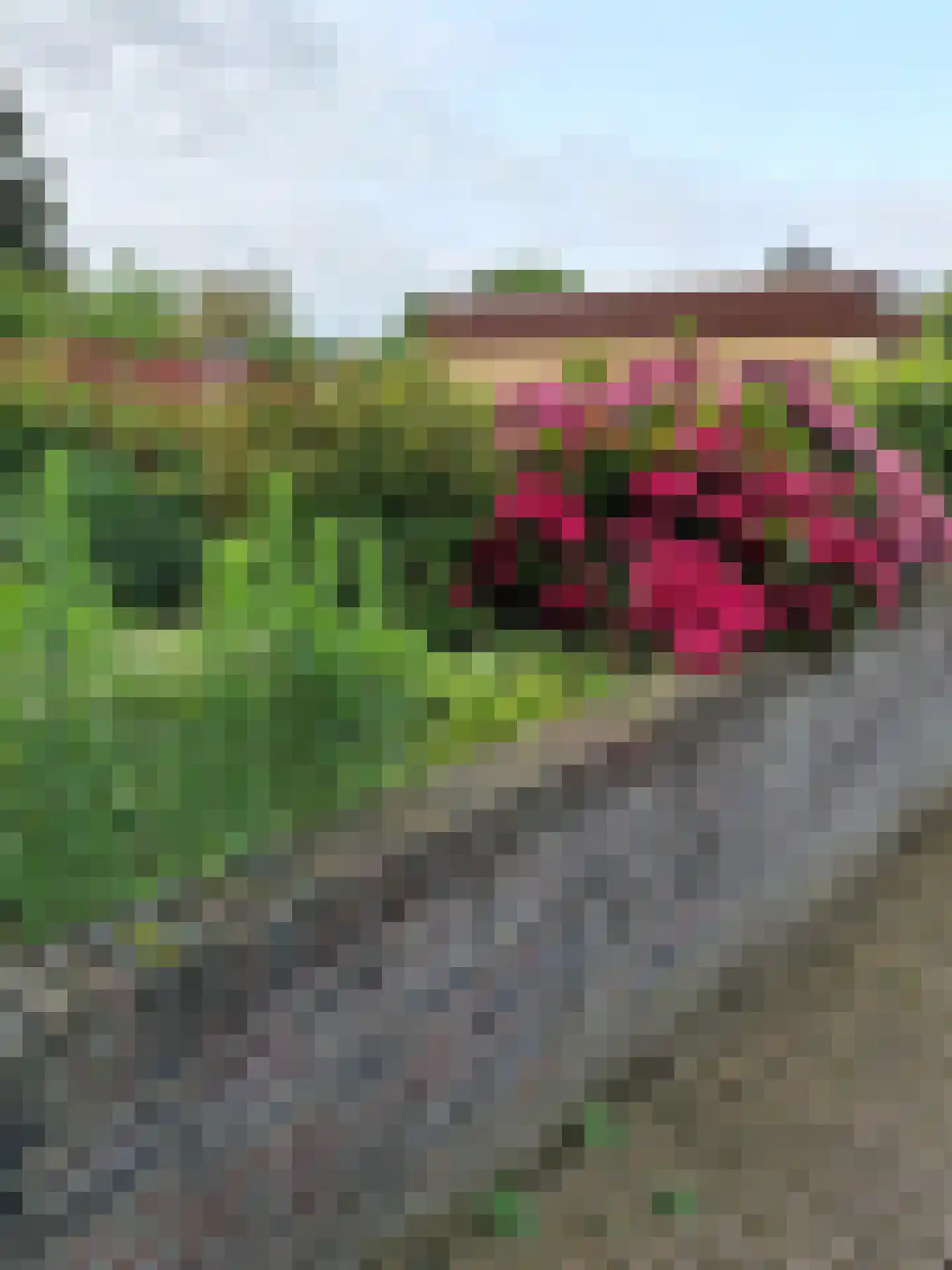 Weezenhof 2708 Nijmegen thumbnail 48
