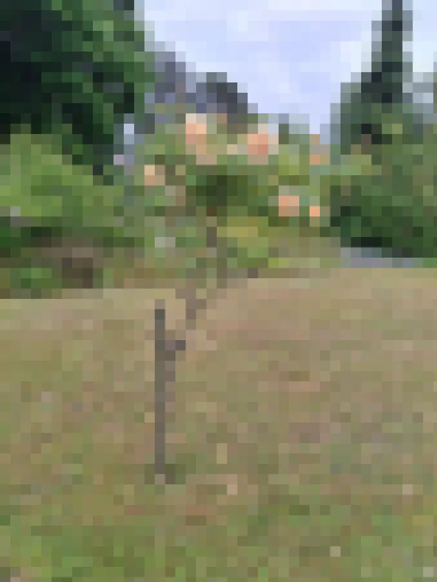 Weezenhof 2708 Nijmegen thumbnail 50
