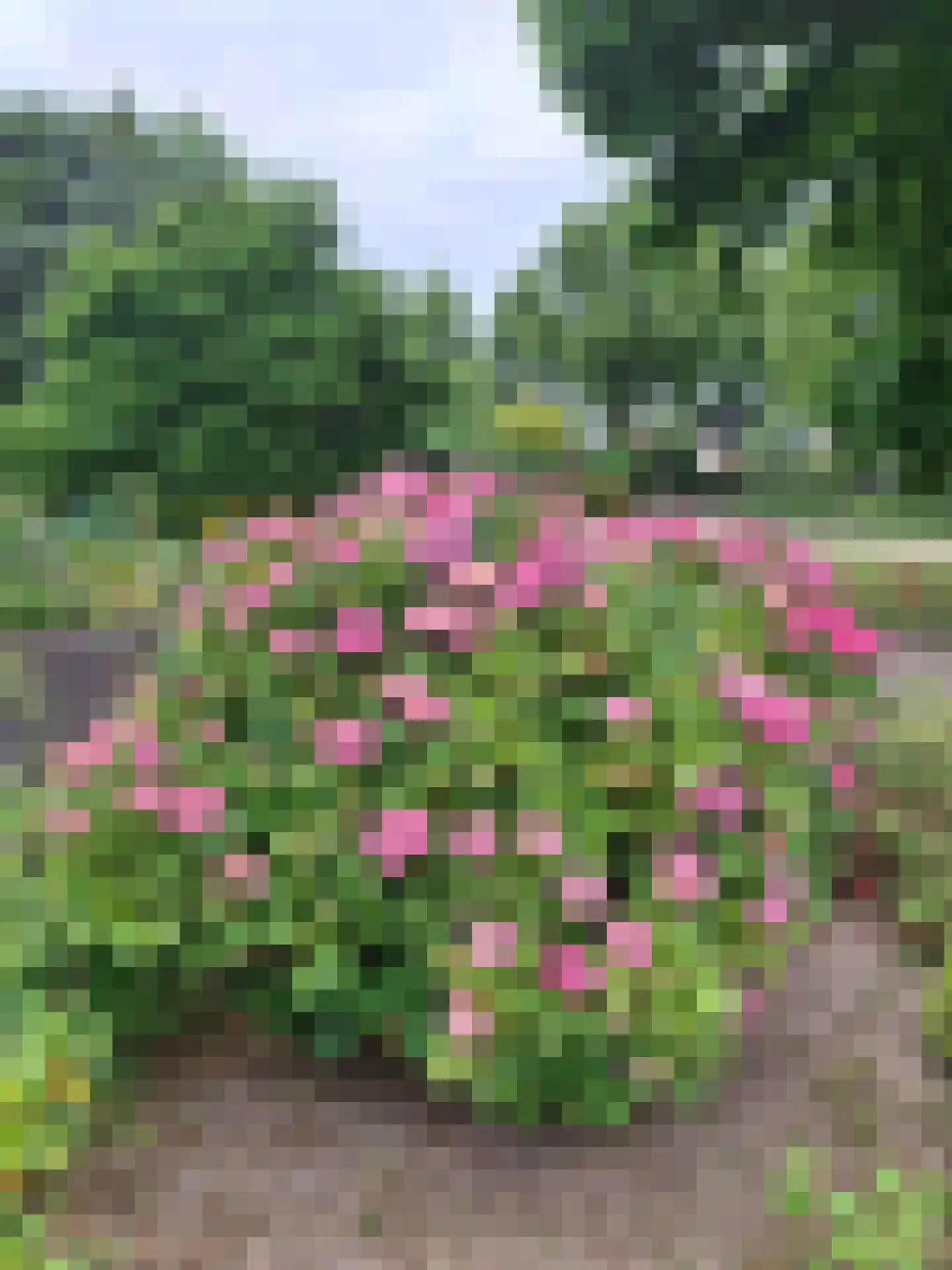 Weezenhof 2708 Nijmegen thumbnail 51