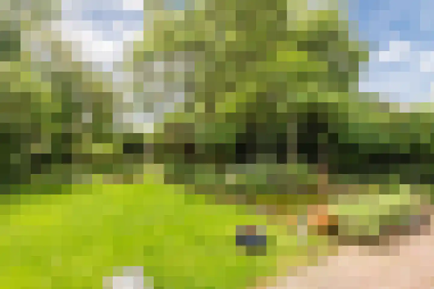 Weezenhof 2960 Nijmegen thumbnail 35