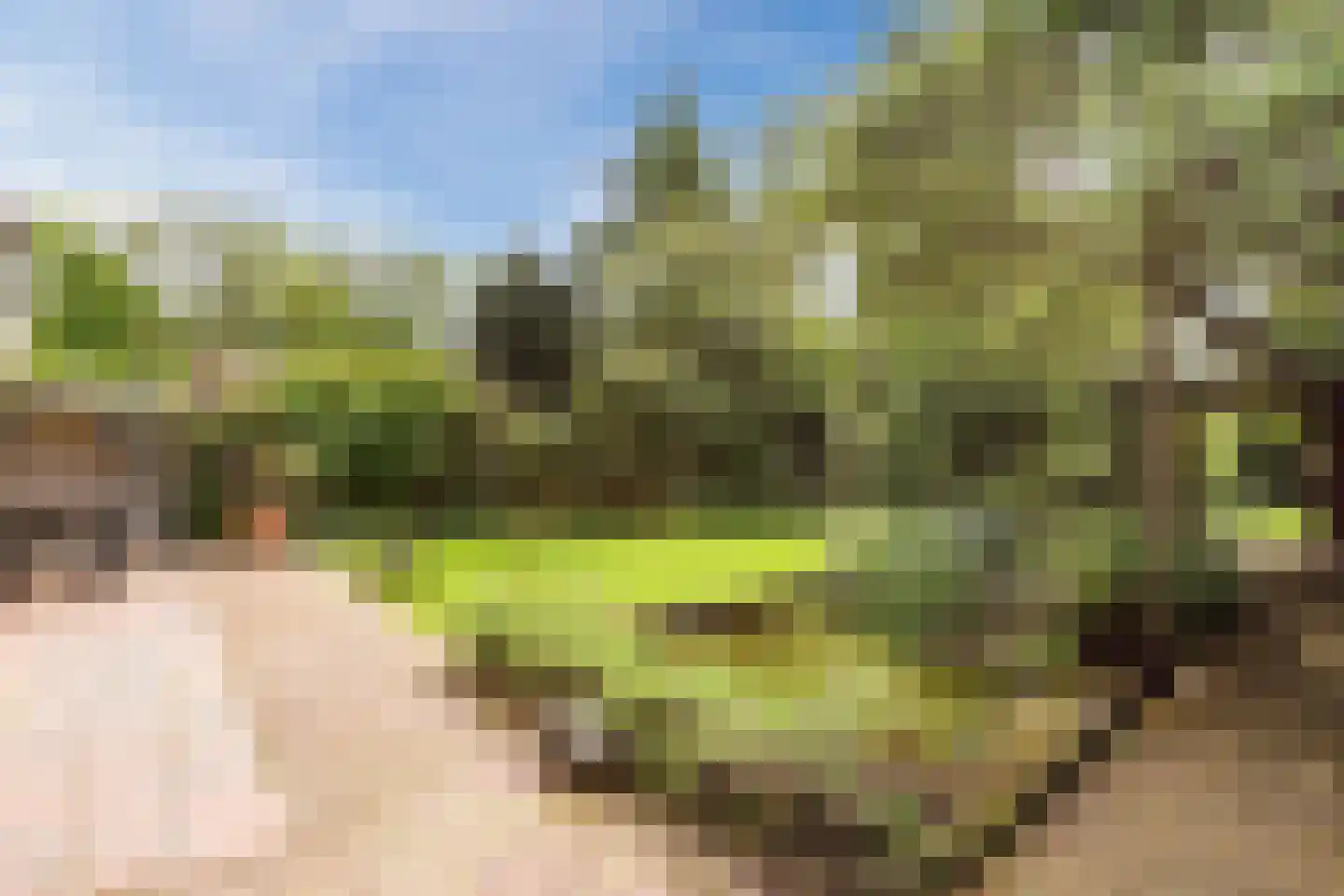 Weezenhof 2960 Nijmegen thumbnail 37