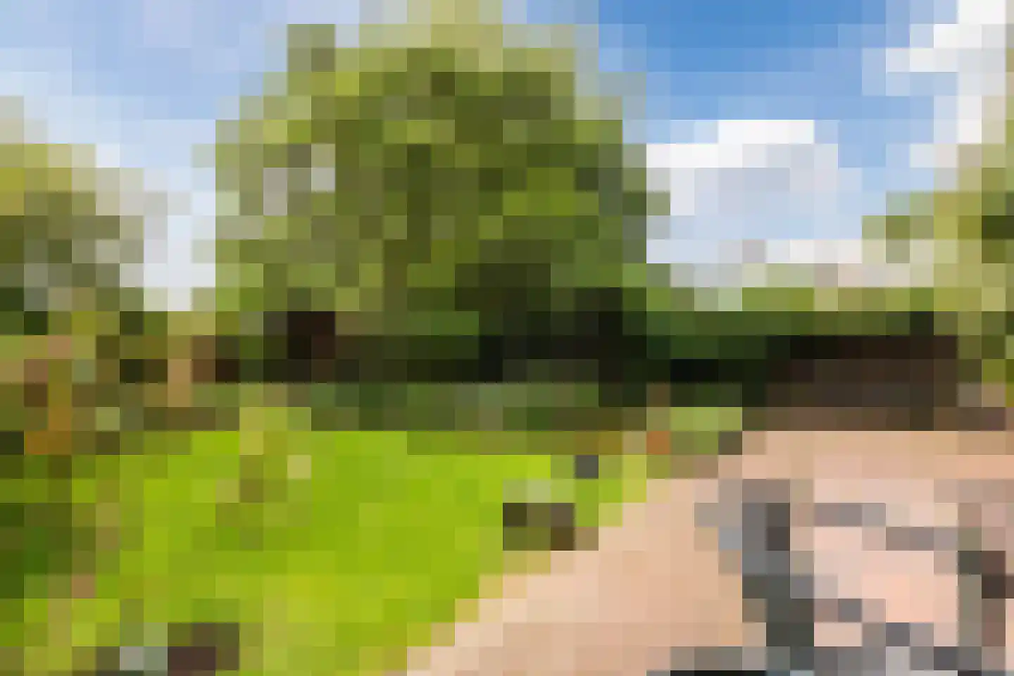 Weezenhof 2960 Nijmegen thumbnail 38