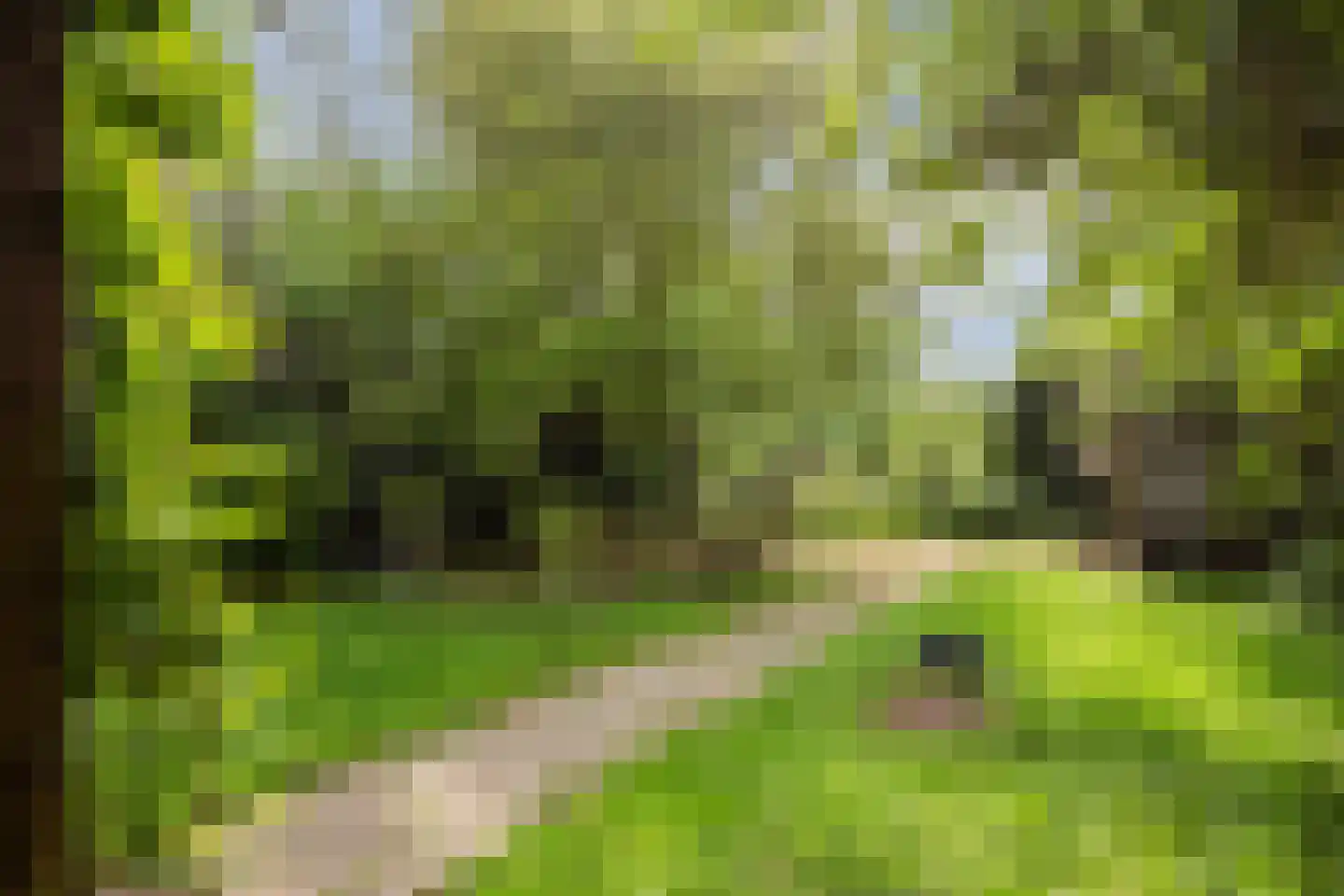 Weezenhof 2960 Nijmegen thumbnail 41