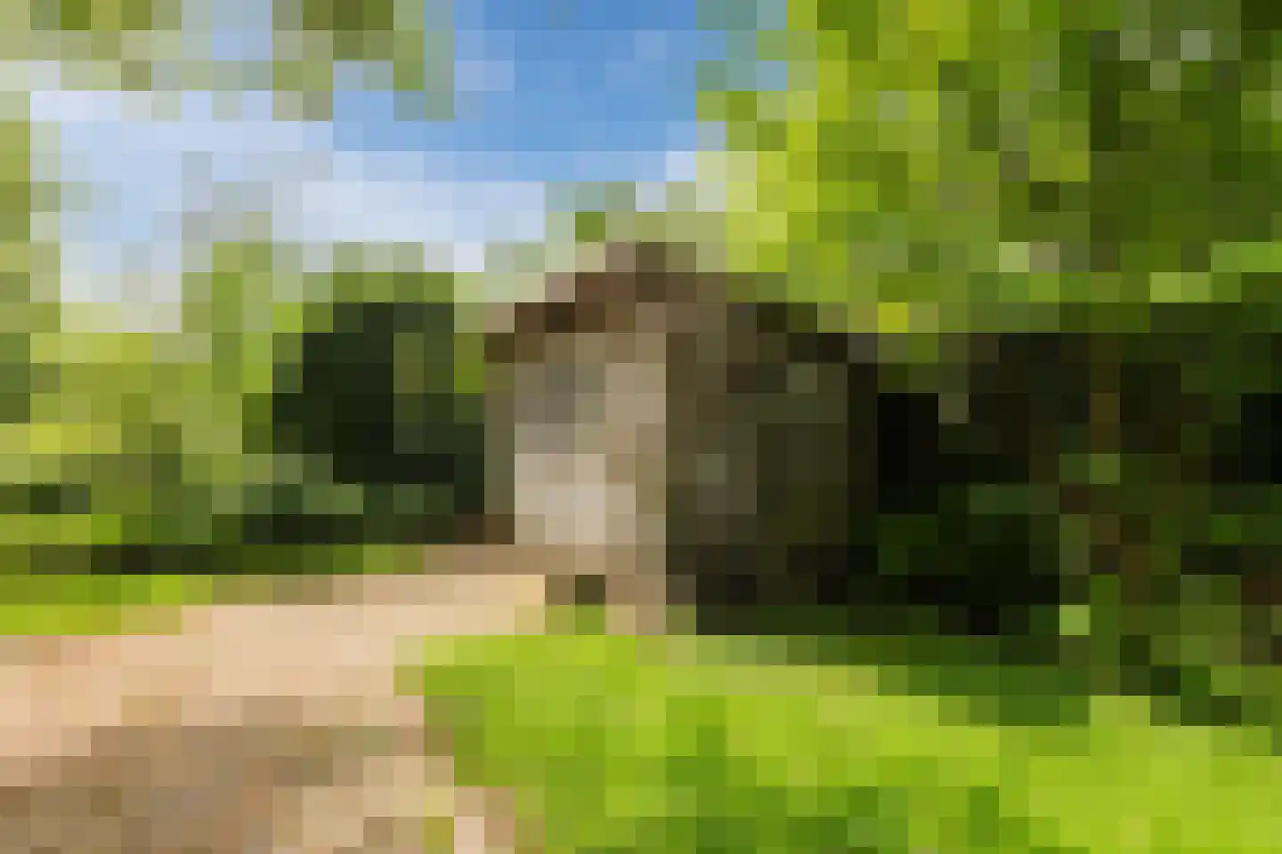 Weezenhof 2960 Nijmegen thumbnail 42