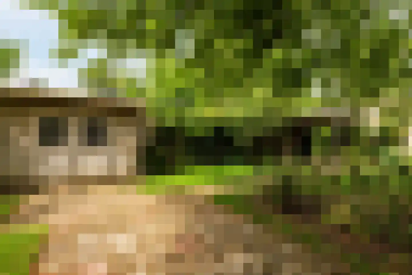 Weezenhof 2960 Nijmegen thumbnail 43