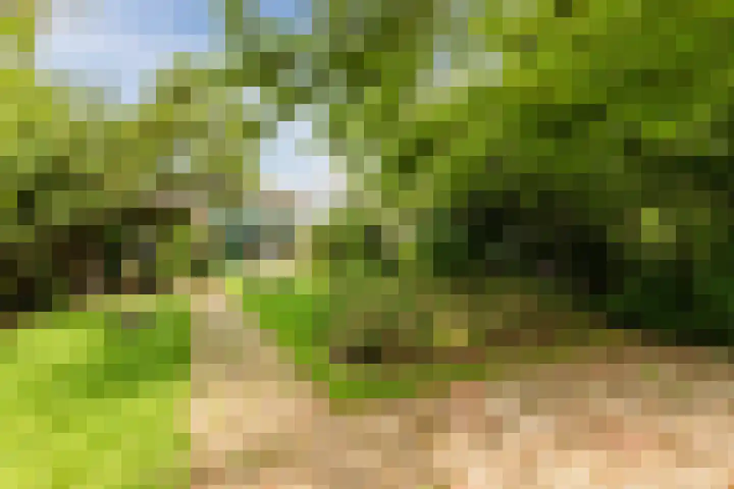 Weezenhof 2960 Nijmegen thumbnail 44