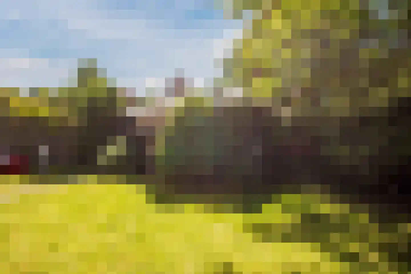 Weezenhof 2976 Nijmegen thumbnail 52