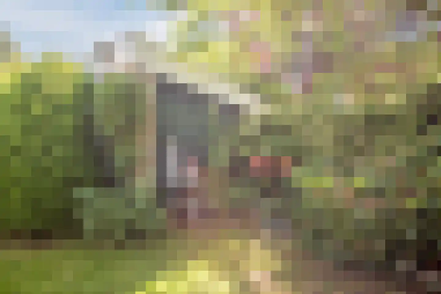 Weezenhof 2976 Nijmegen thumbnail 53