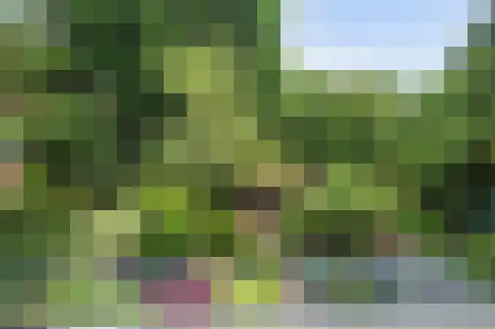 Weezenhof 3016 Nijmegen thumbnail 15