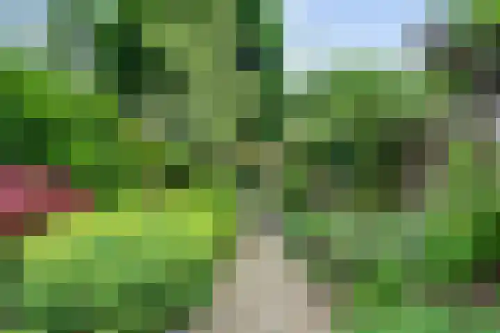 Weezenhof 3016 Nijmegen thumbnail 32