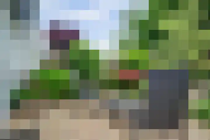 Weezenhof 3016 Nijmegen thumbnail 38