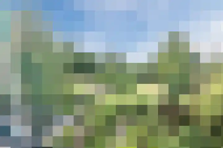 Weezenhof 3028 Nijmegen thumbnail 34