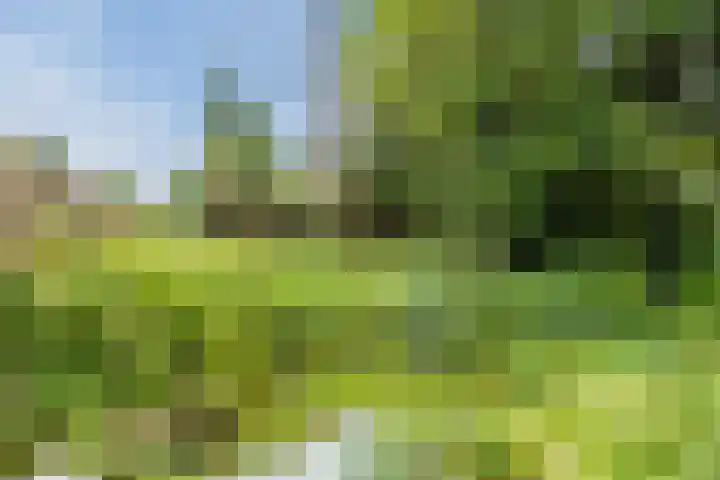 Weezenhof 3028 Nijmegen thumbnail 35