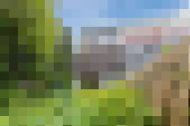 Weezenhof 3028 Nijmegen thumbnail 37