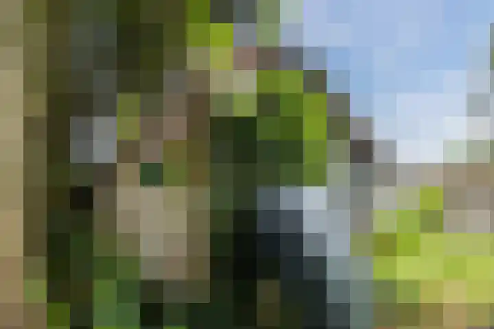 Weezenhof 3028 Nijmegen thumbnail 39