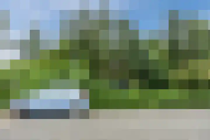 Weezenhof 3028 Nijmegen thumbnail 45