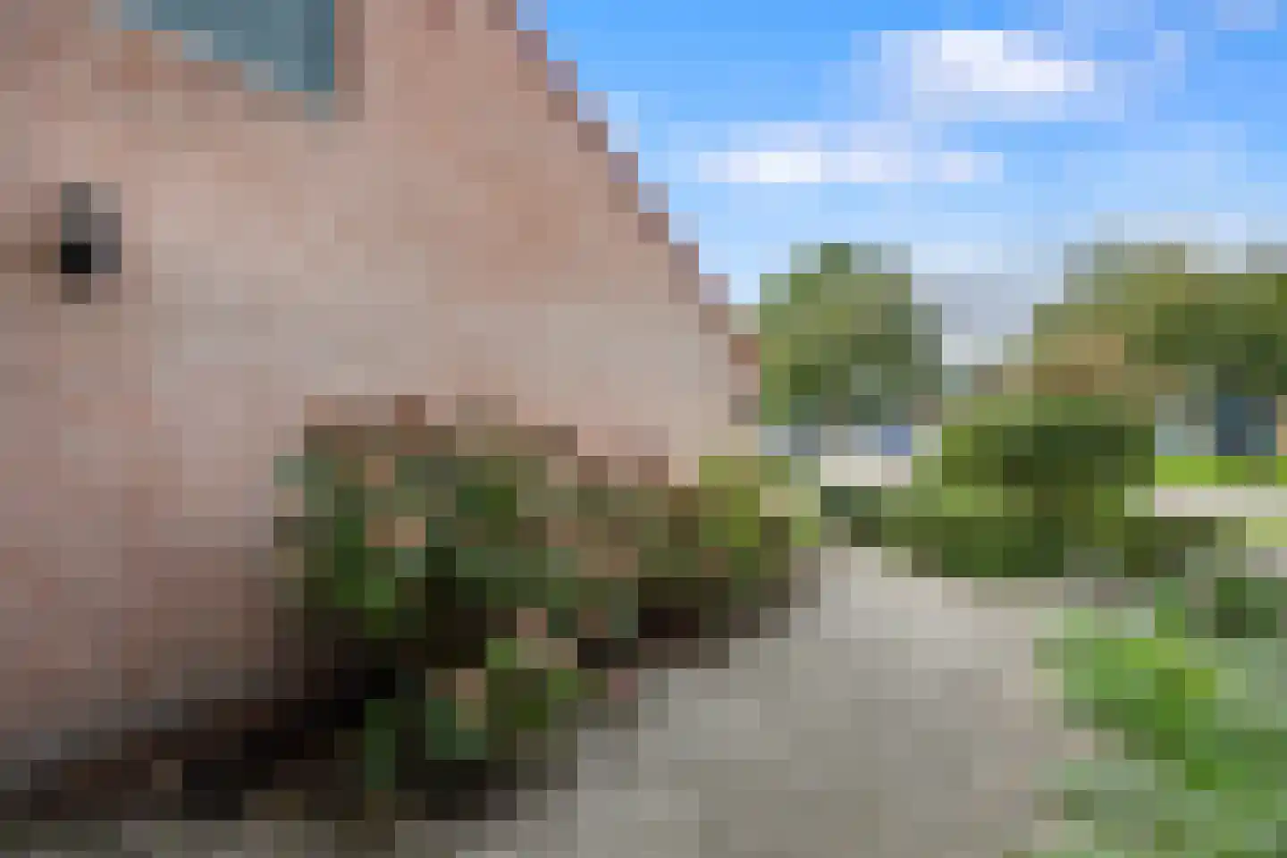 Weezenhof 3040 Nijmegen thumbnail 8