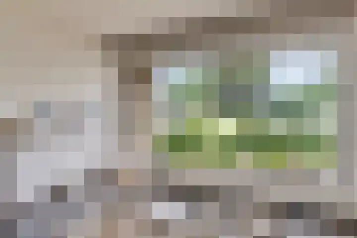 Weezenhof 3236 Nijmegen thumbnail 17