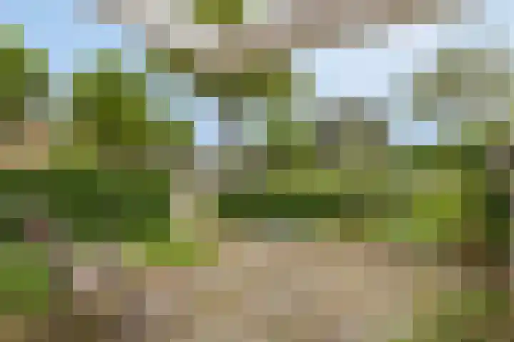 Weezenhof 3236 Nijmegen thumbnail 8