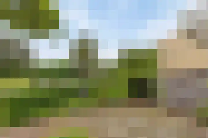 Weezenhof 3236 Nijmegen thumbnail 9