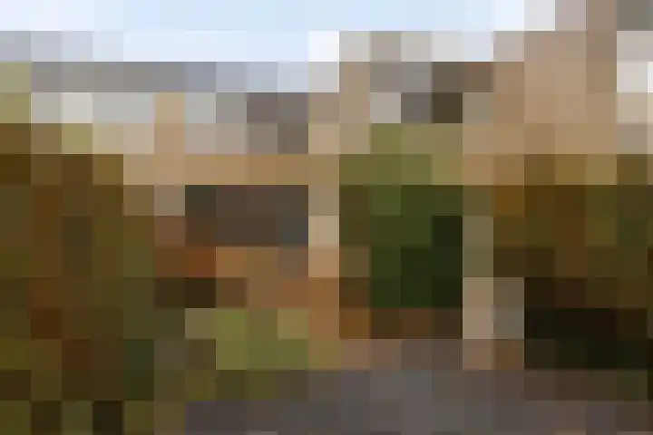 Weezenhof 3246 Nijmegen thumbnail 16