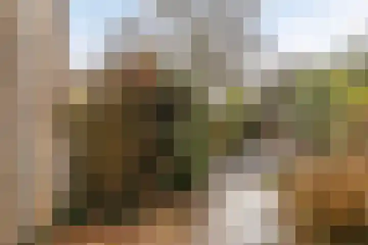 Weezenhof 3246 Nijmegen thumbnail 17