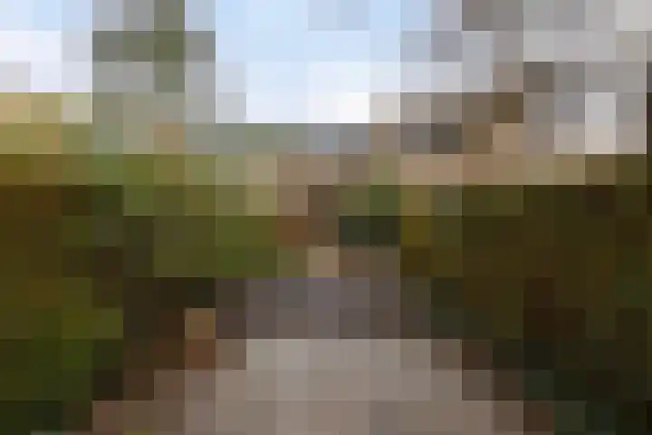 Weezenhof 3246 Nijmegen thumbnail 18