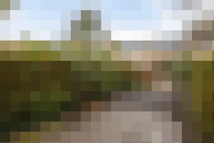 Weezenhof 3246 Nijmegen thumbnail 19