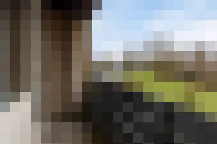 Weezenhof 3246 Nijmegen thumbnail 31