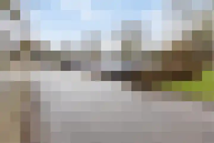 Weezenhof 3246 Nijmegen thumbnail 41