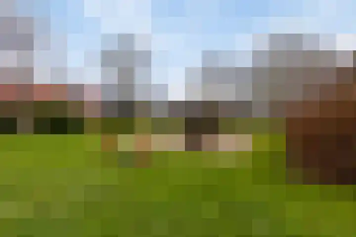Weezenhof 3246 Nijmegen thumbnail 43
