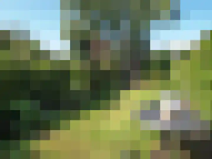 Weezenhof 3485 Nijmegen thumbnail 22