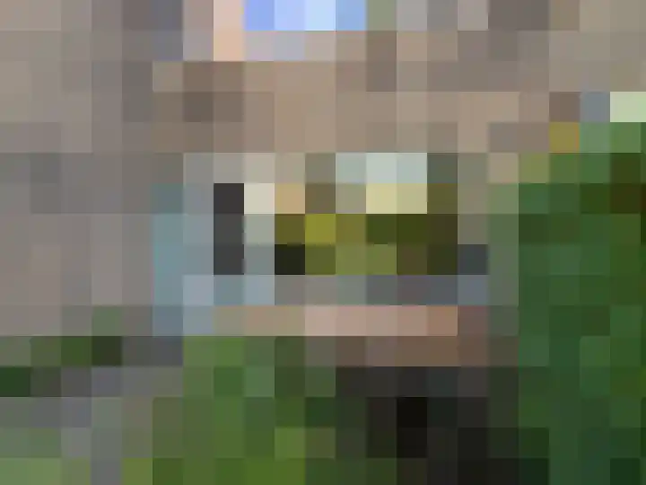 Weezenhof 3485 Nijmegen thumbnail 24