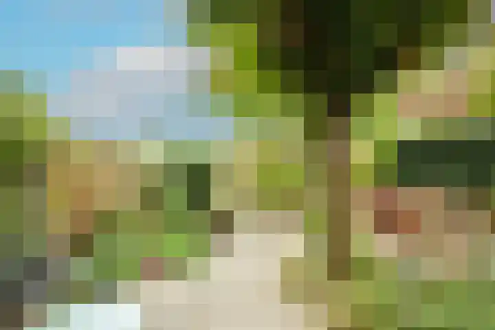 Weezenhof 3532 Nijmegen thumbnail 41