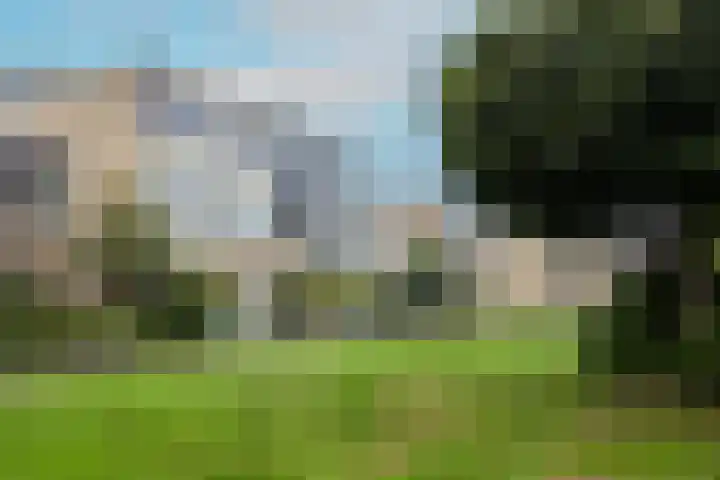 Weezenhof 3532 Nijmegen thumbnail 48