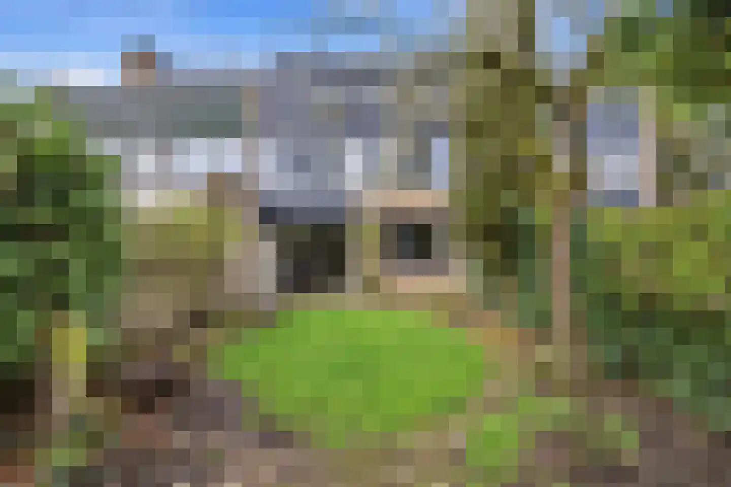 Weezenhof 3703 Nijmegen thumbnail 40
