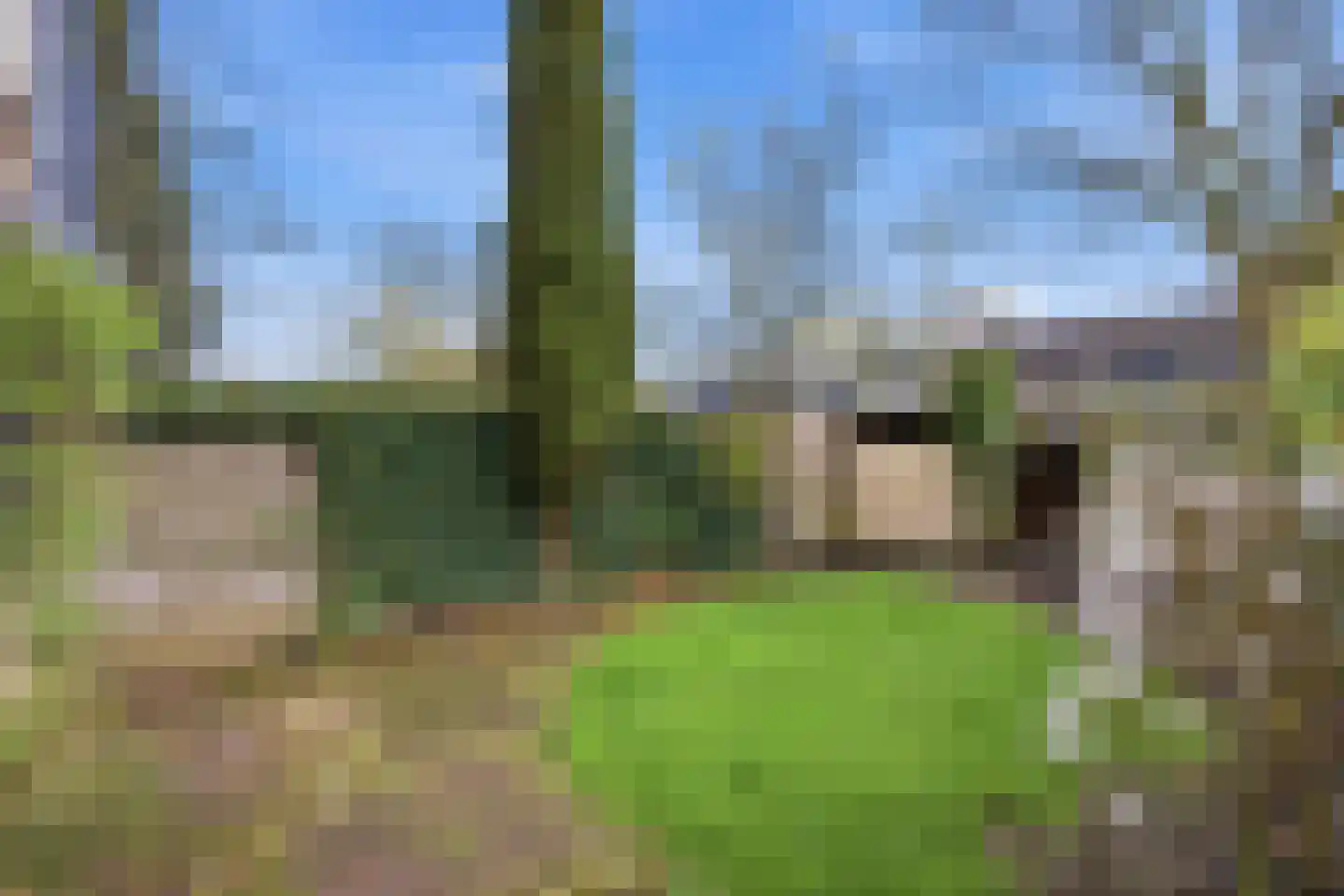 Weezenhof 3703 Nijmegen thumbnail 42