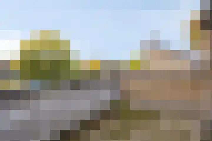 Weezenhof 3705 Nijmegen thumbnail 21