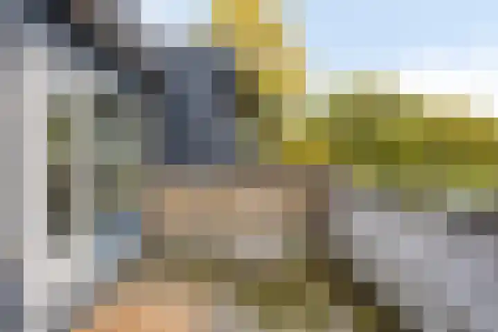 Weezenhof 3705 Nijmegen thumbnail 22