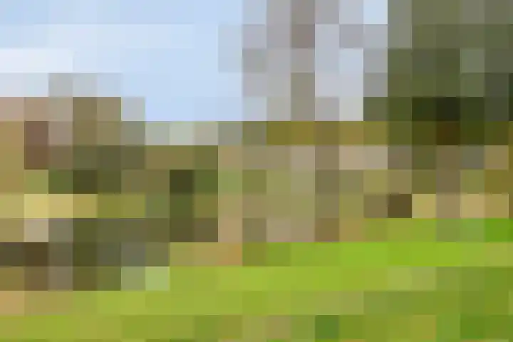 Weezenhof 3705 Nijmegen thumbnail 35